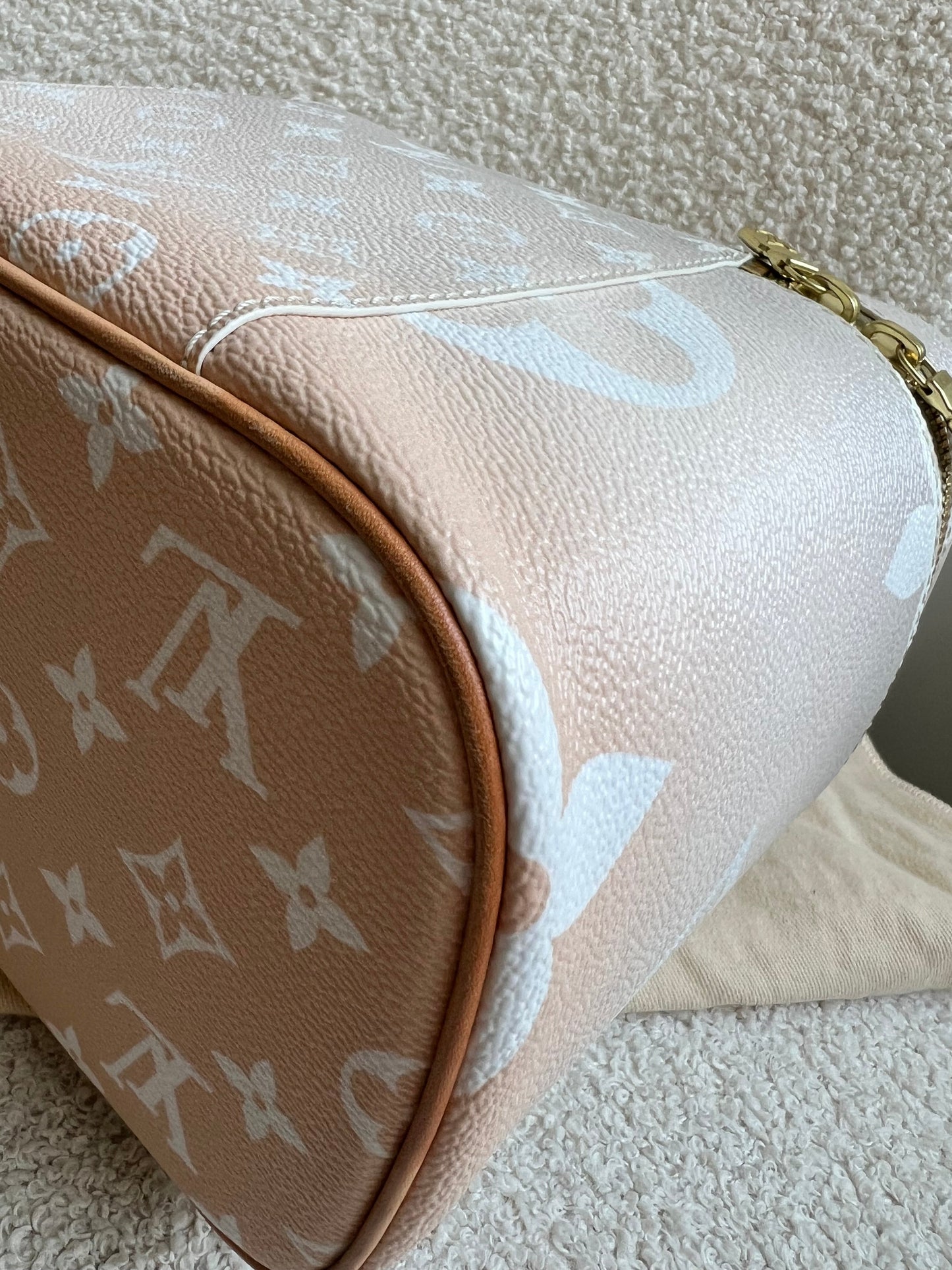 Louis Vuitton By the Pool Nice BB Bag Vanity Case