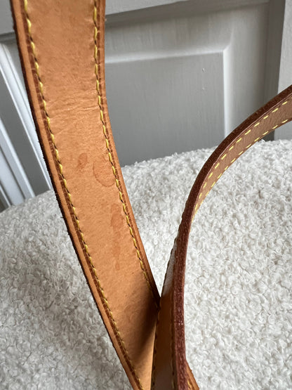 Louis Vuitton Luca Tote Monogram