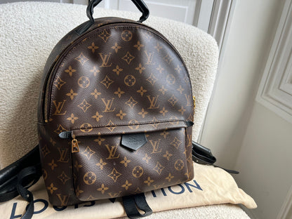 Louis Vuitton Palm Springs MM Backpack (RRP £2,090)