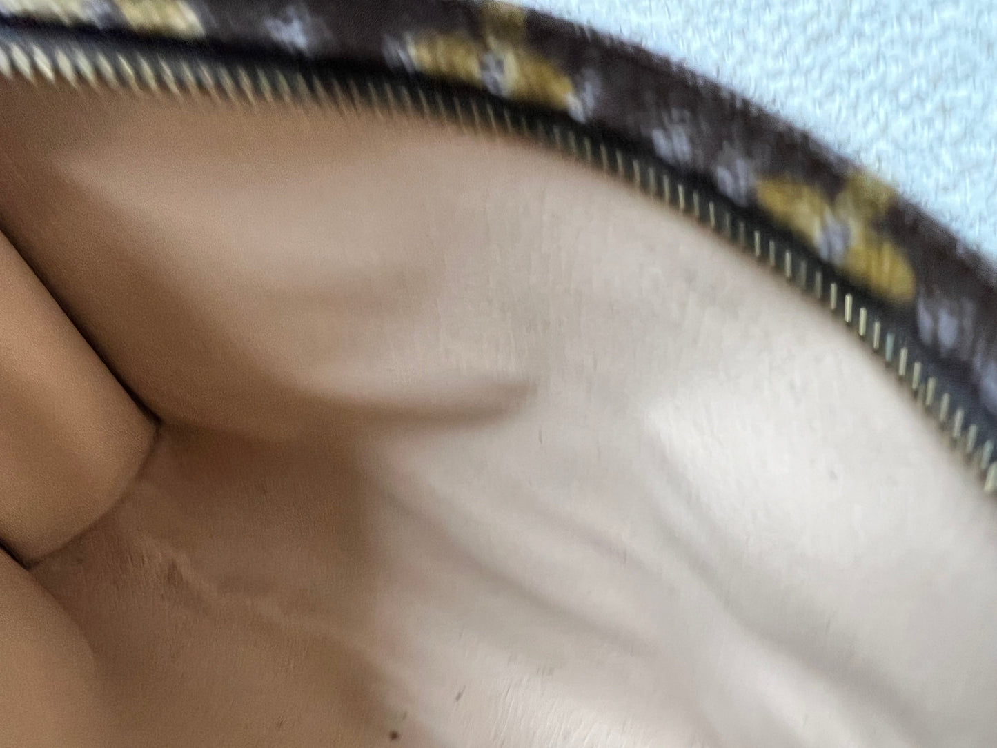 Louis Vuitton Toiletry Pouch 19 Monogram