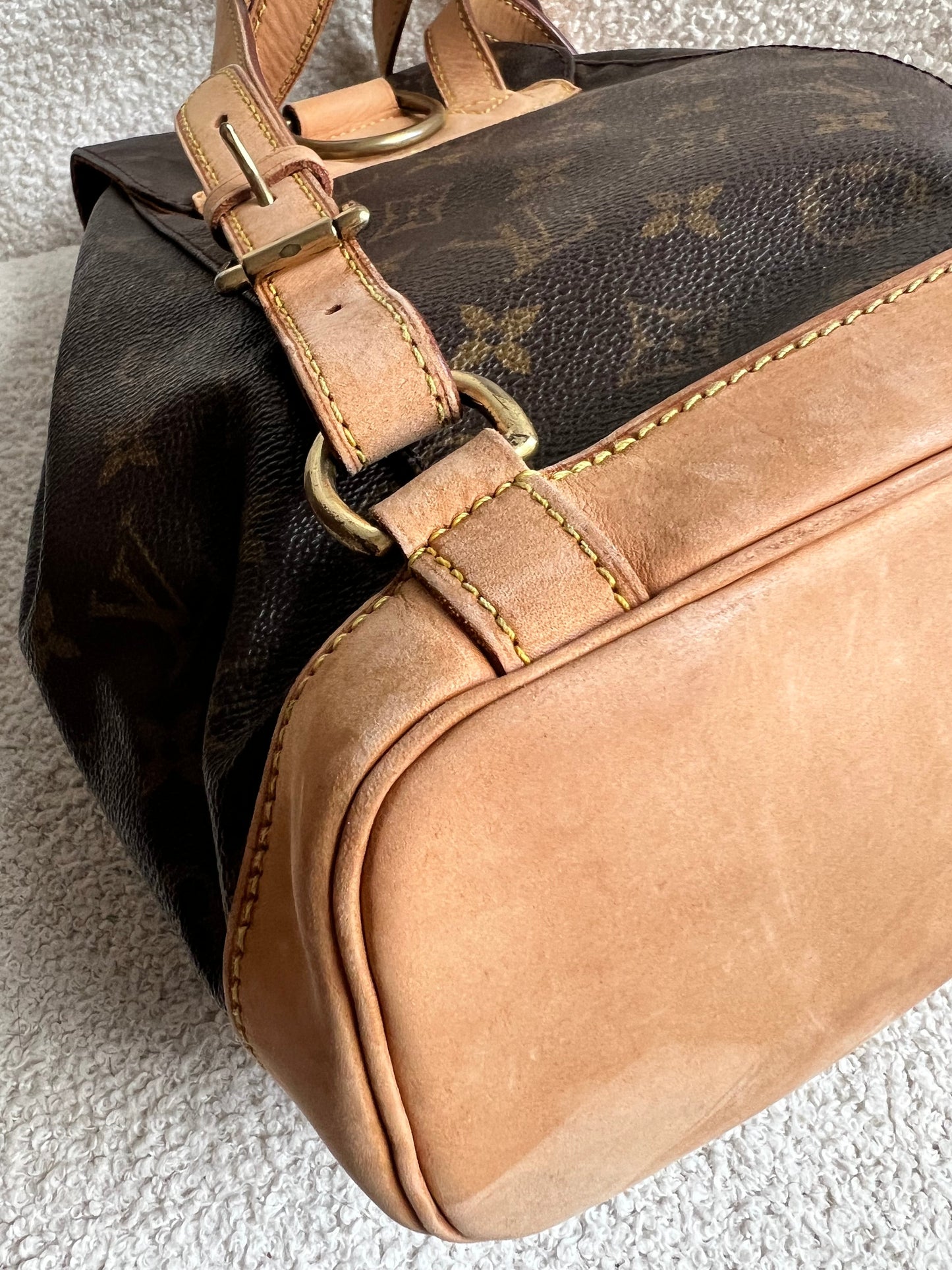 Louis Vuitton Montsouris PM Backpack Monogram