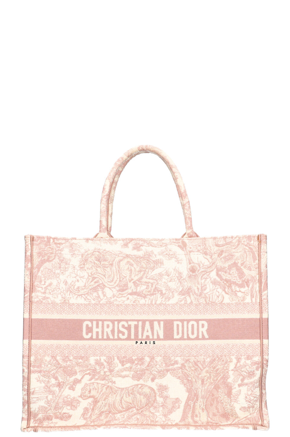 Dior Book Tote Mini Canvas Tote Bag
