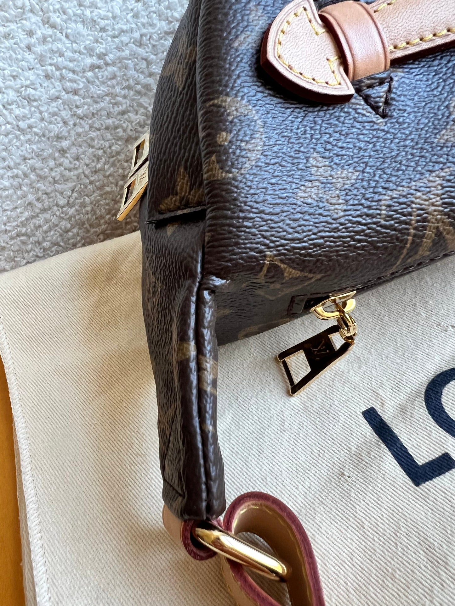 Louis Vuitton Bumbag in Monogram Canvas