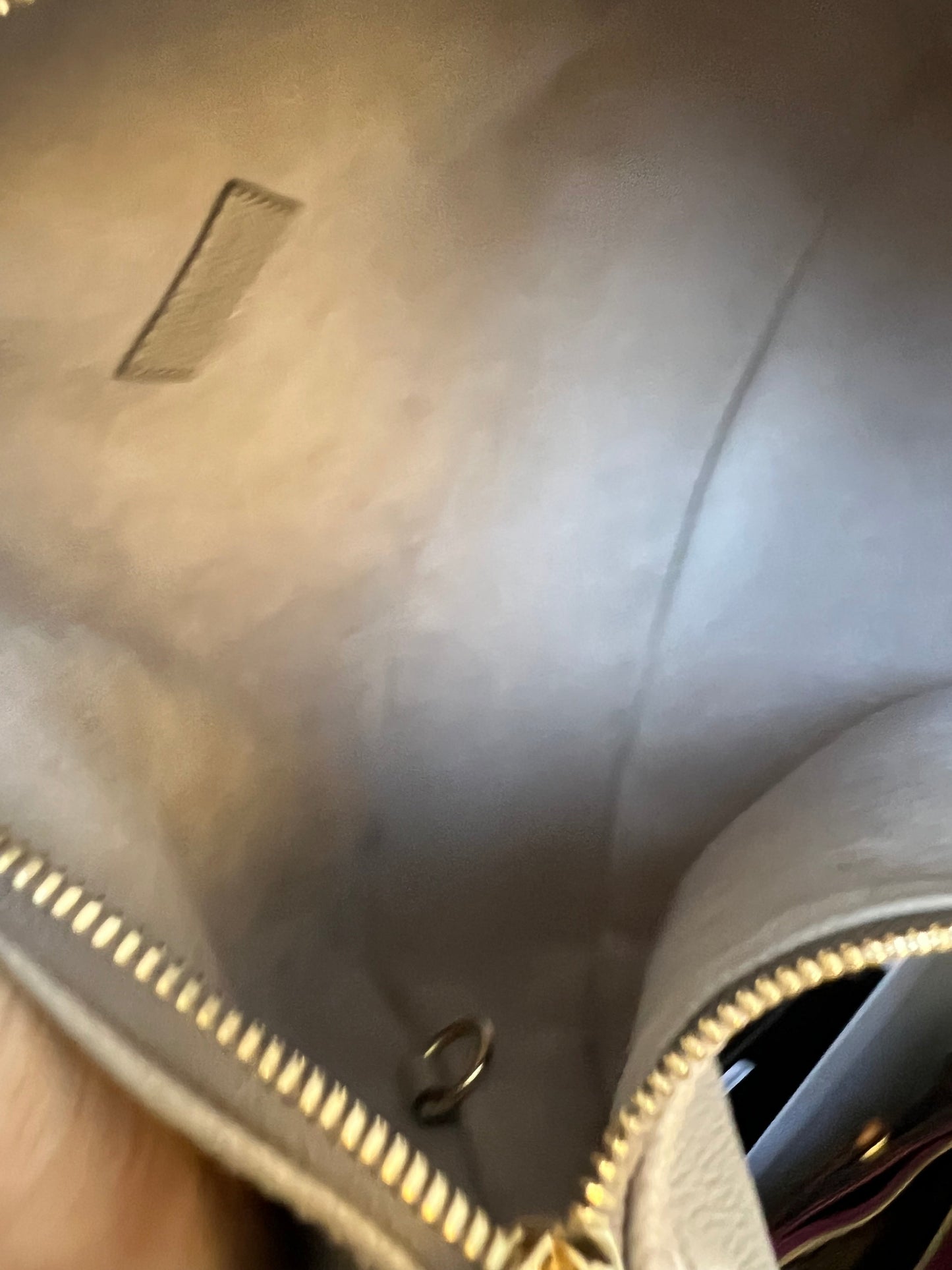 Louis Vuitton Loop Hobo Bicolour Empreinte (RRP £2440)