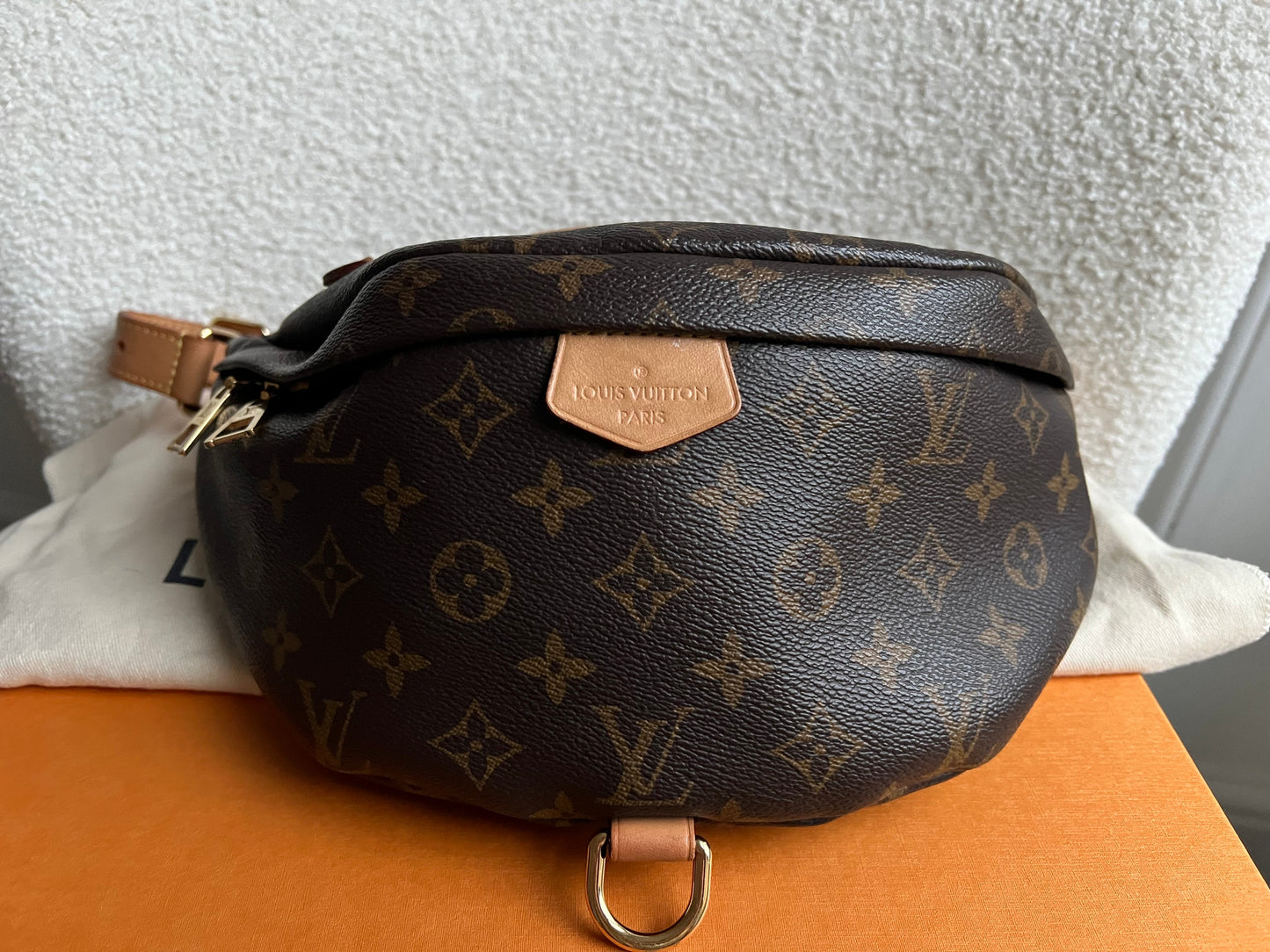 Louis Vuitton Bumbag in Monogram Canvas