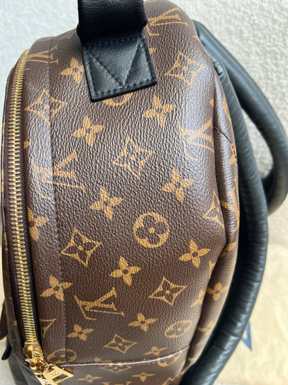 Louis Vuitton Palm Springs MM Backpack (RRP £2,090)