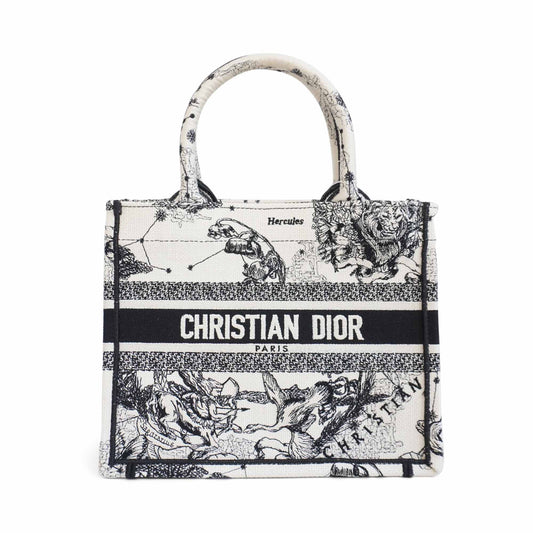 Dior Book Tote Canvas Tote Bag
