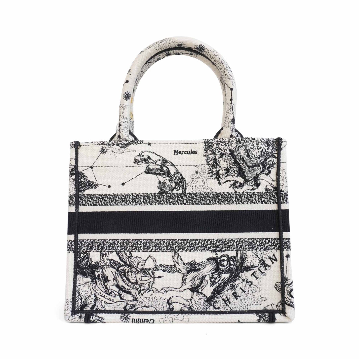 Dior Book Tote Canvas Tote Bag