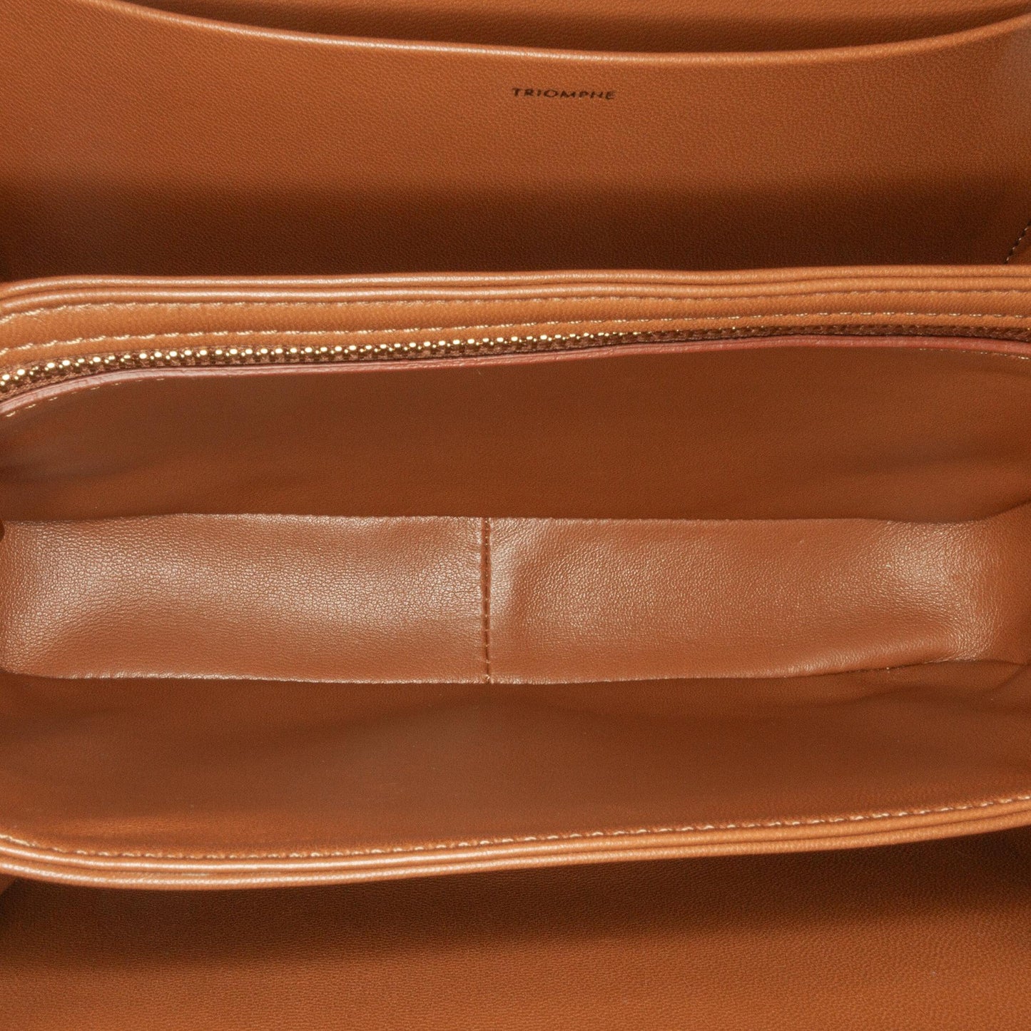 Celine Canvas Classique Triomphe Crossbody (MLB-2Xuunr)