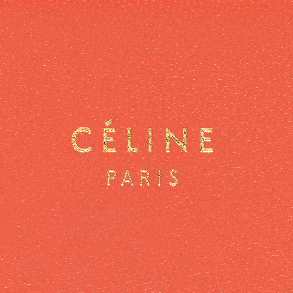 Celine Lambskin Frame Evening Clutch on Chain Crossbody Bag (SHF-14477)