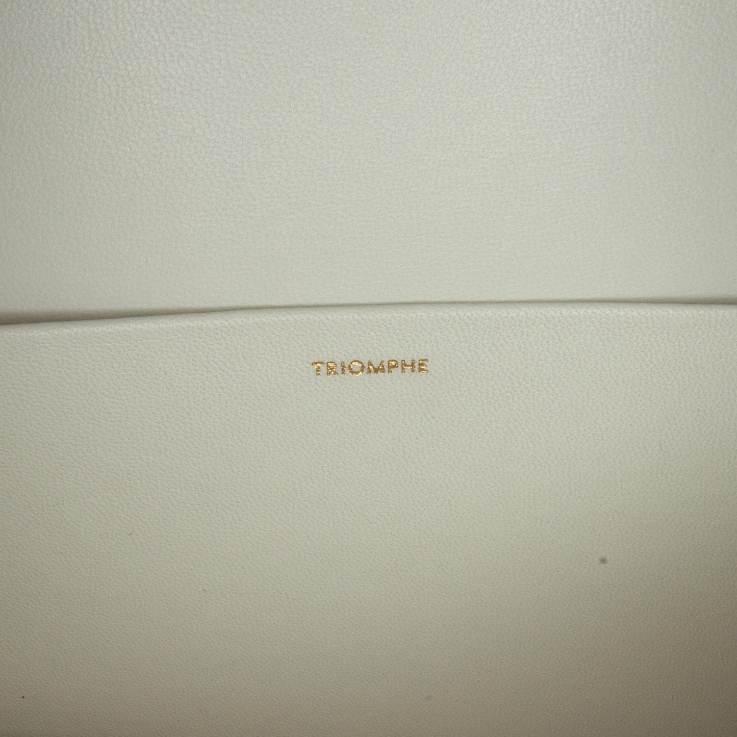 Celine Medium Triomphe Crossbody Bag (MLB-sCwzzx)