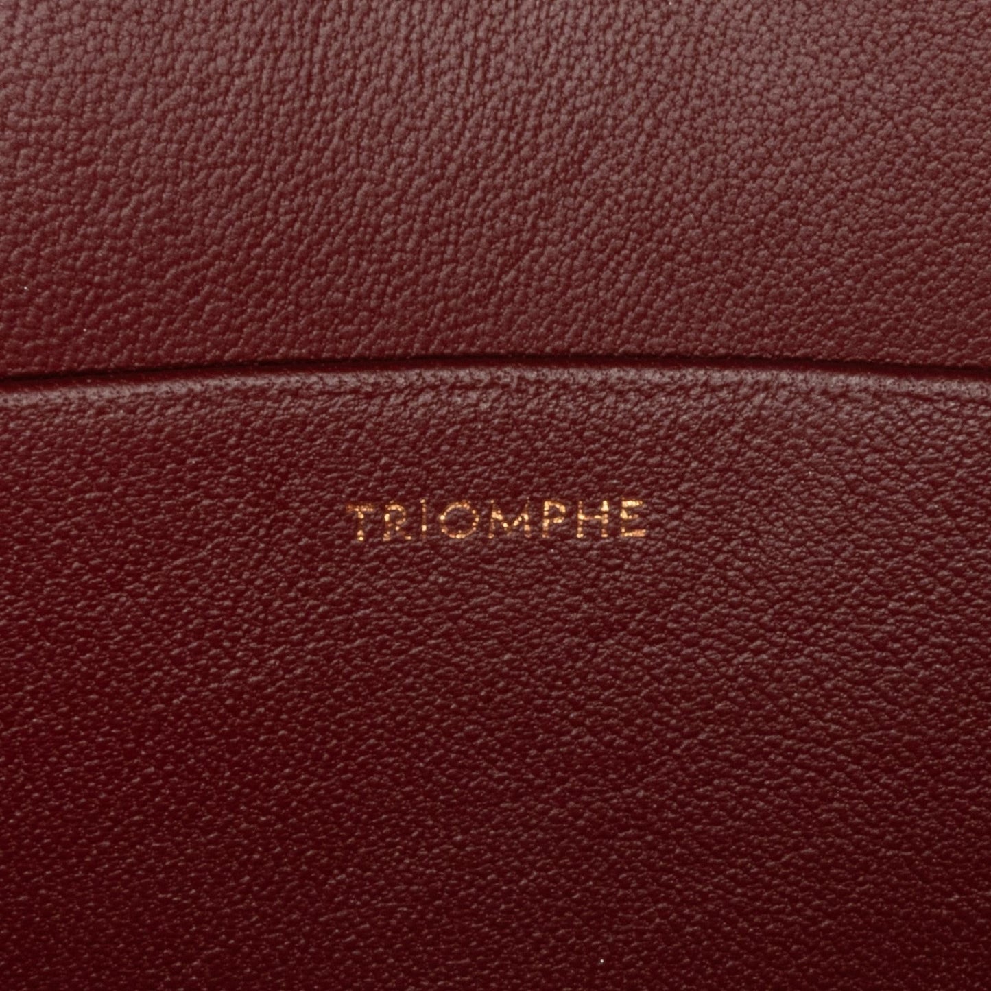 Celine Medium Triomphe Crossbody Bag (MLB-ewHuBe)