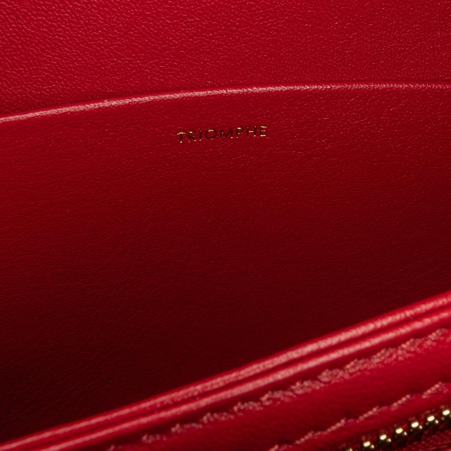 Celine Medium Triomphe Crossbody Bag (MLB-Mj1Oy2)