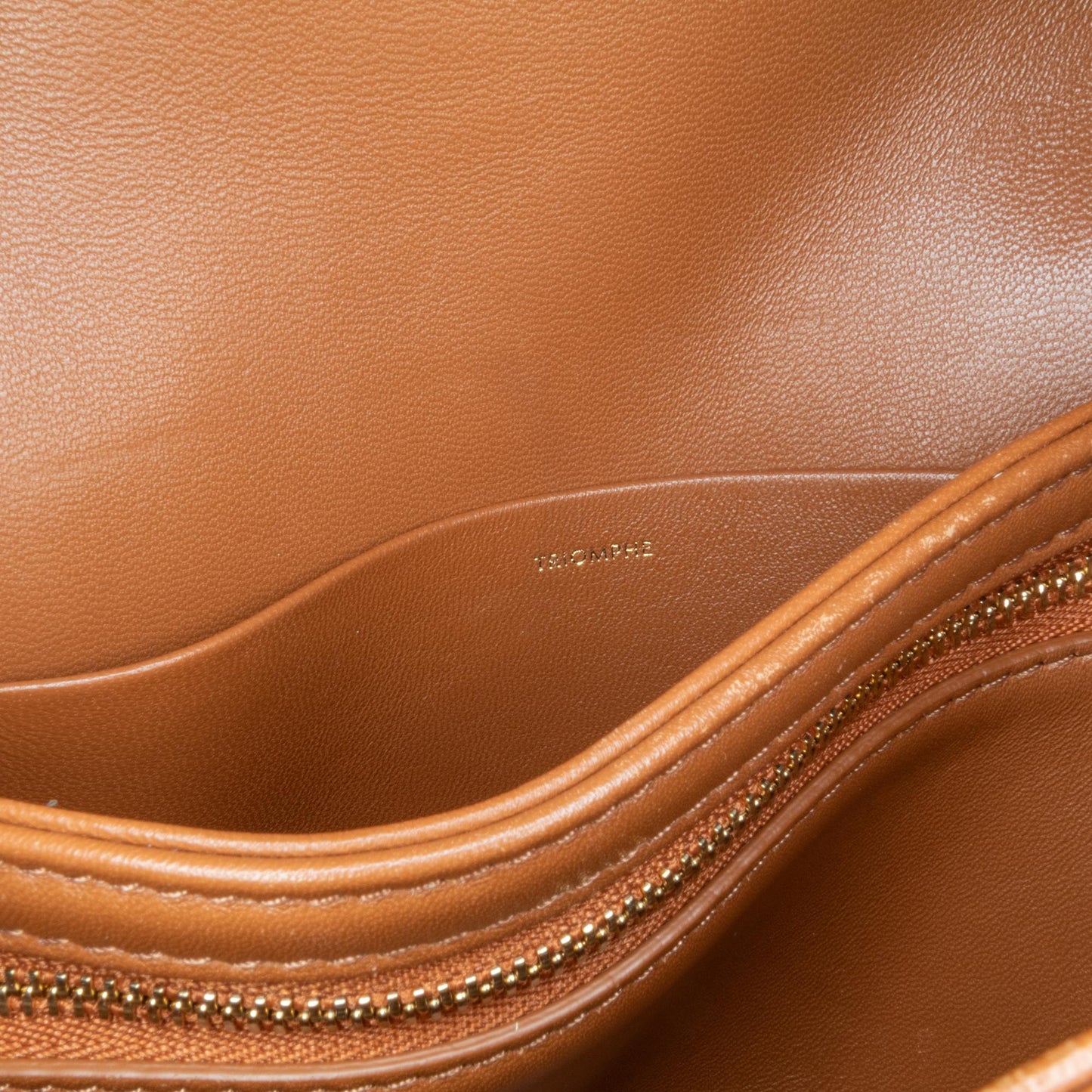 Celine Teen Embroidered Canvas Triomphe Crossbody (MLB-fY2a1z)