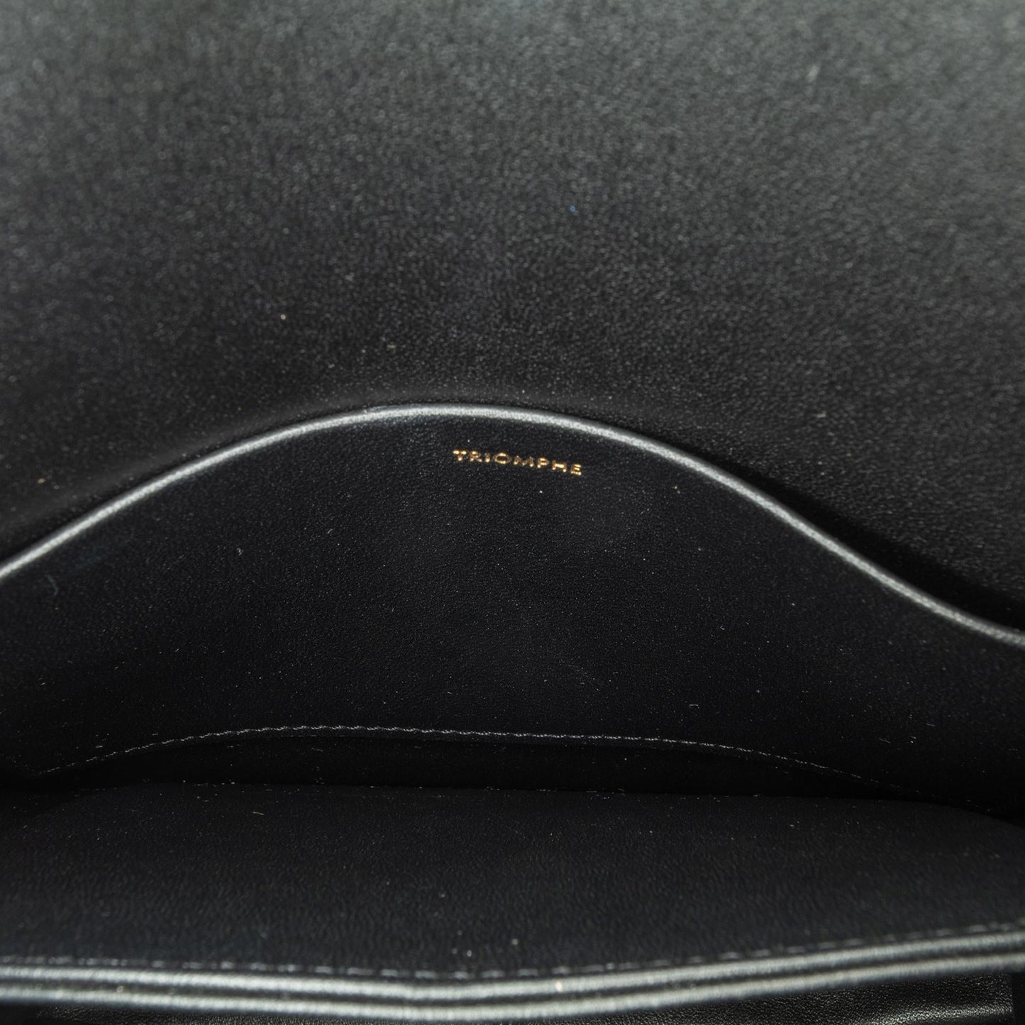 Celine Teen Shiny Calfskin Triomphe Crossbody (MLB-wclCE3)