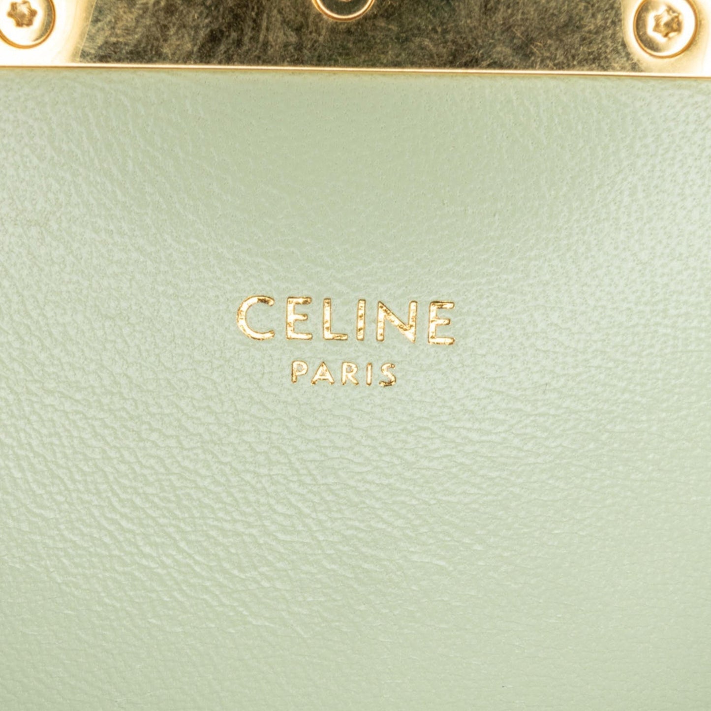 Celine Teen Triomphe Coated Canvas Crossbody (MLB-BkfEzs)