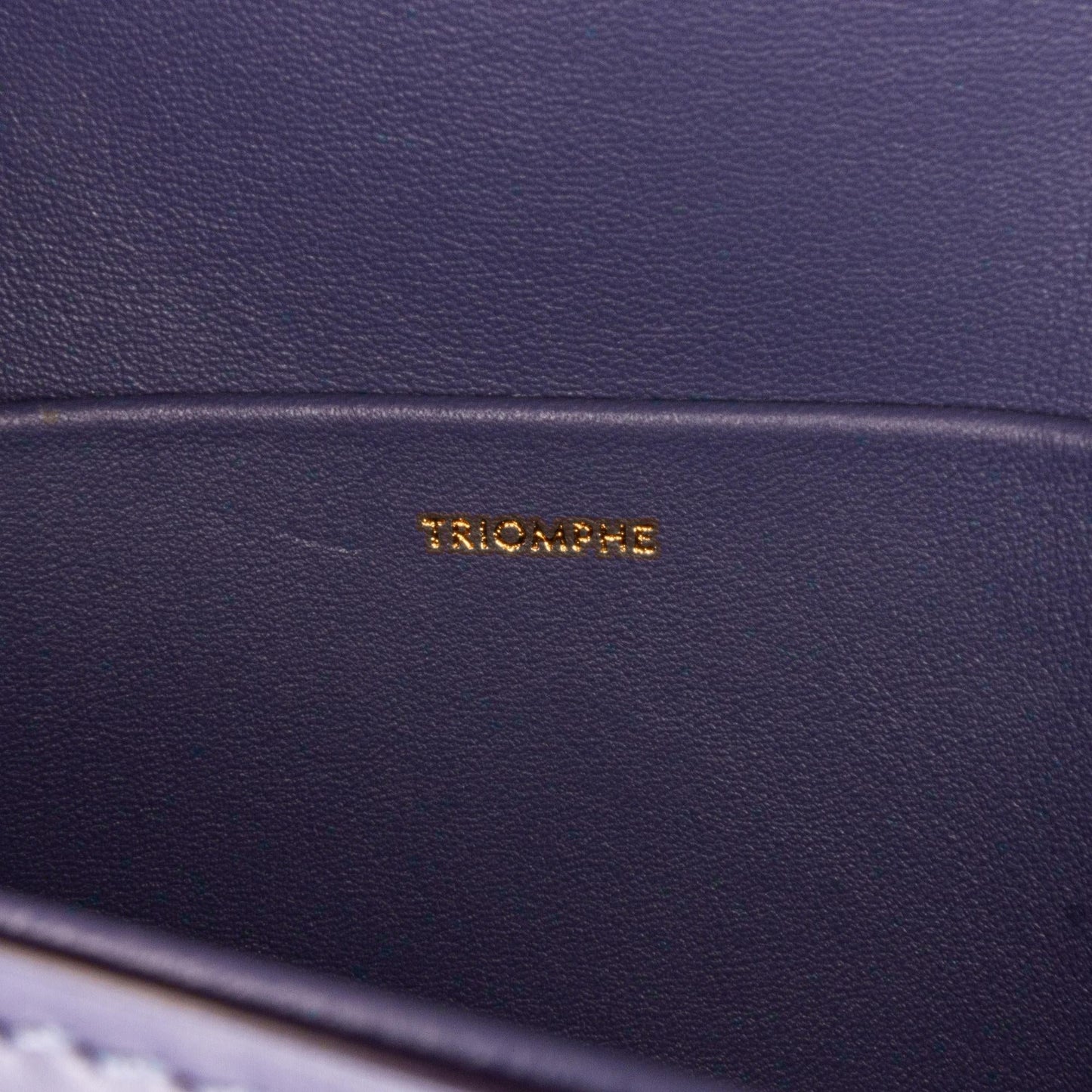 Celine Teen Triomphe Crossbody (MLB-khlLXL)