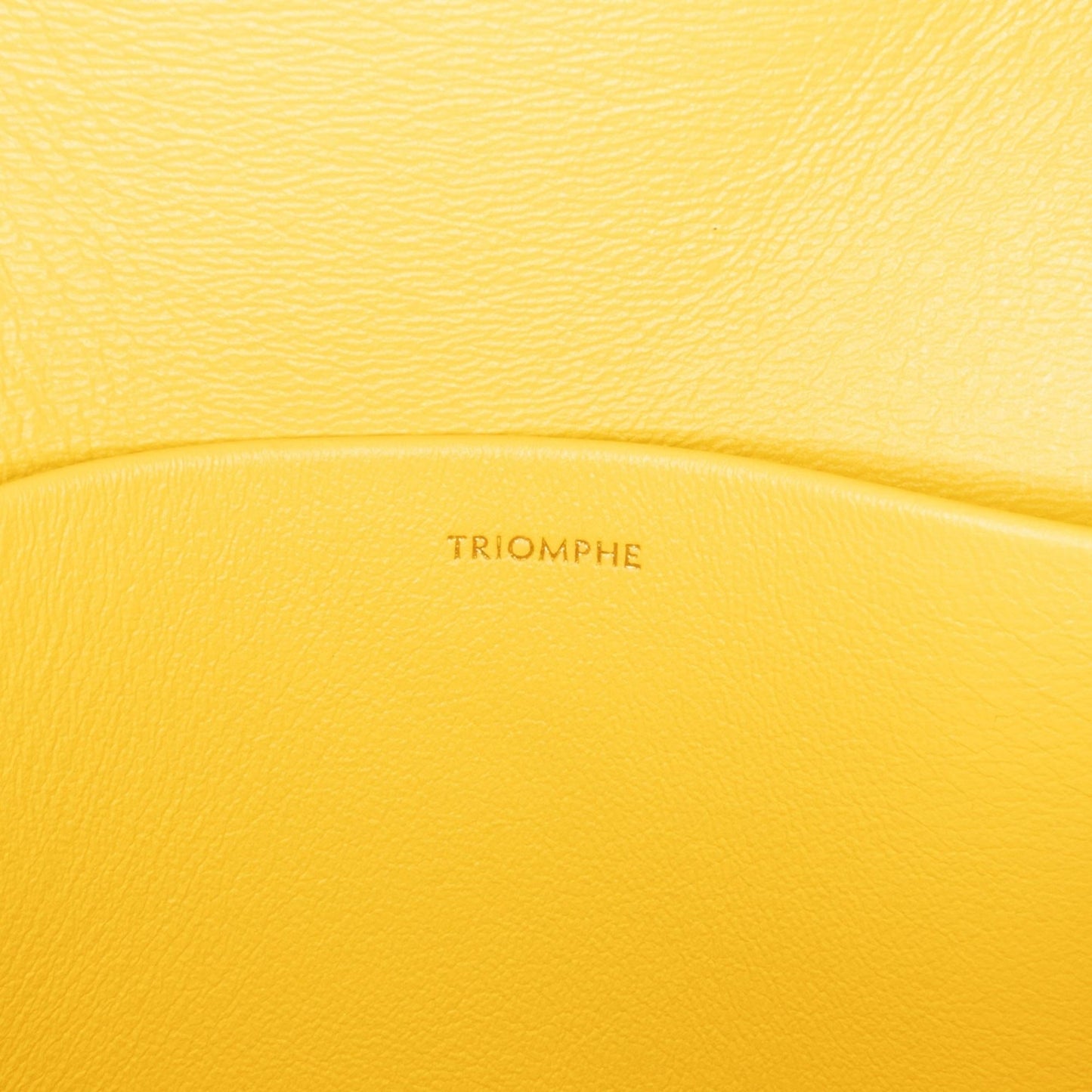 Celine Teen Triomphe Crossbody (MLB-vmVG6P)