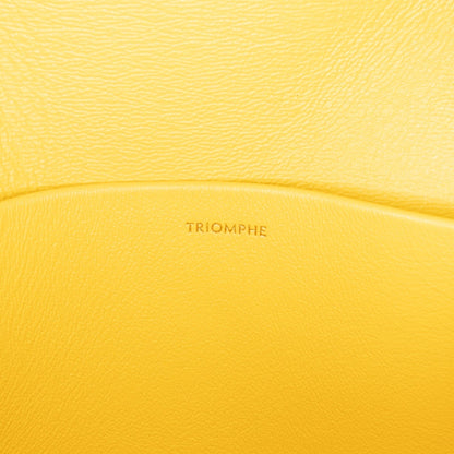 Celine Teen Triomphe Crossbody (MLB-vmVG6P)