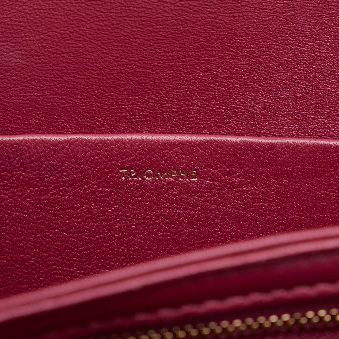 Celine Triomphe Crossbody (MLB-sNWq0M)