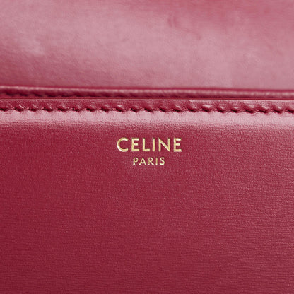 Celine Triomphe Crossbody (MLB-sNWq0M)