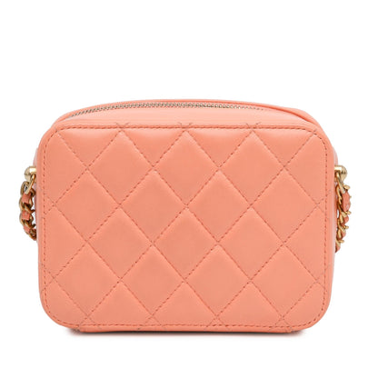 Chanel Cc Quilted Lambskin Pearl Crush Camera Bag
