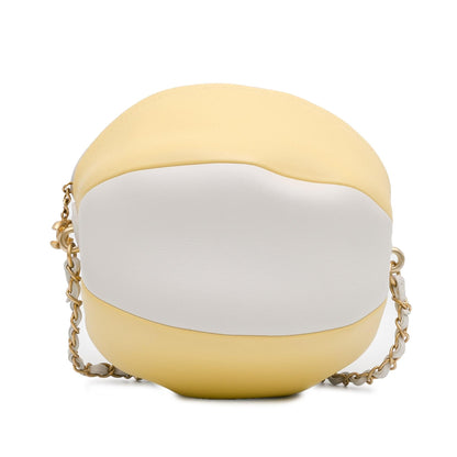 Chanel Calfskin Luxury Handbag Style 5