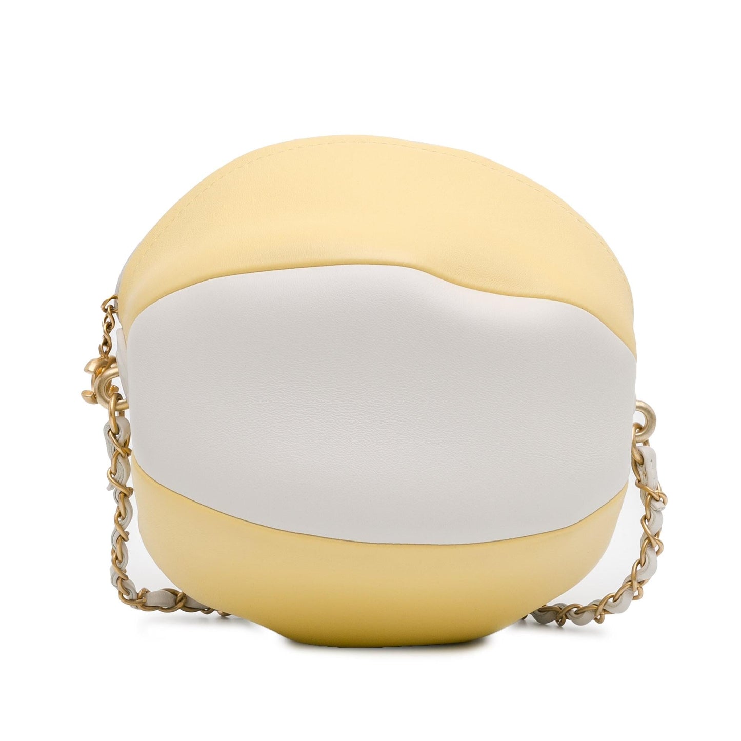 Chanel Calfskin Luxury Handbag Style 6