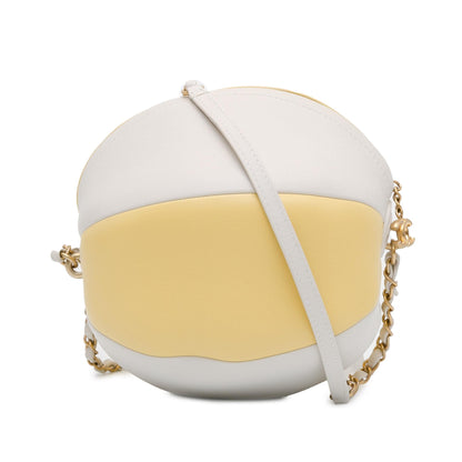 Chanel Calfskin Luxury Handbag Style 5