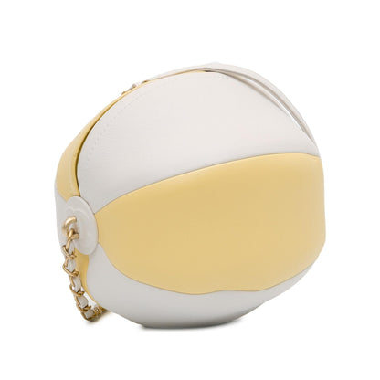 Chanel Calfskin Luxury Handbag Style 5