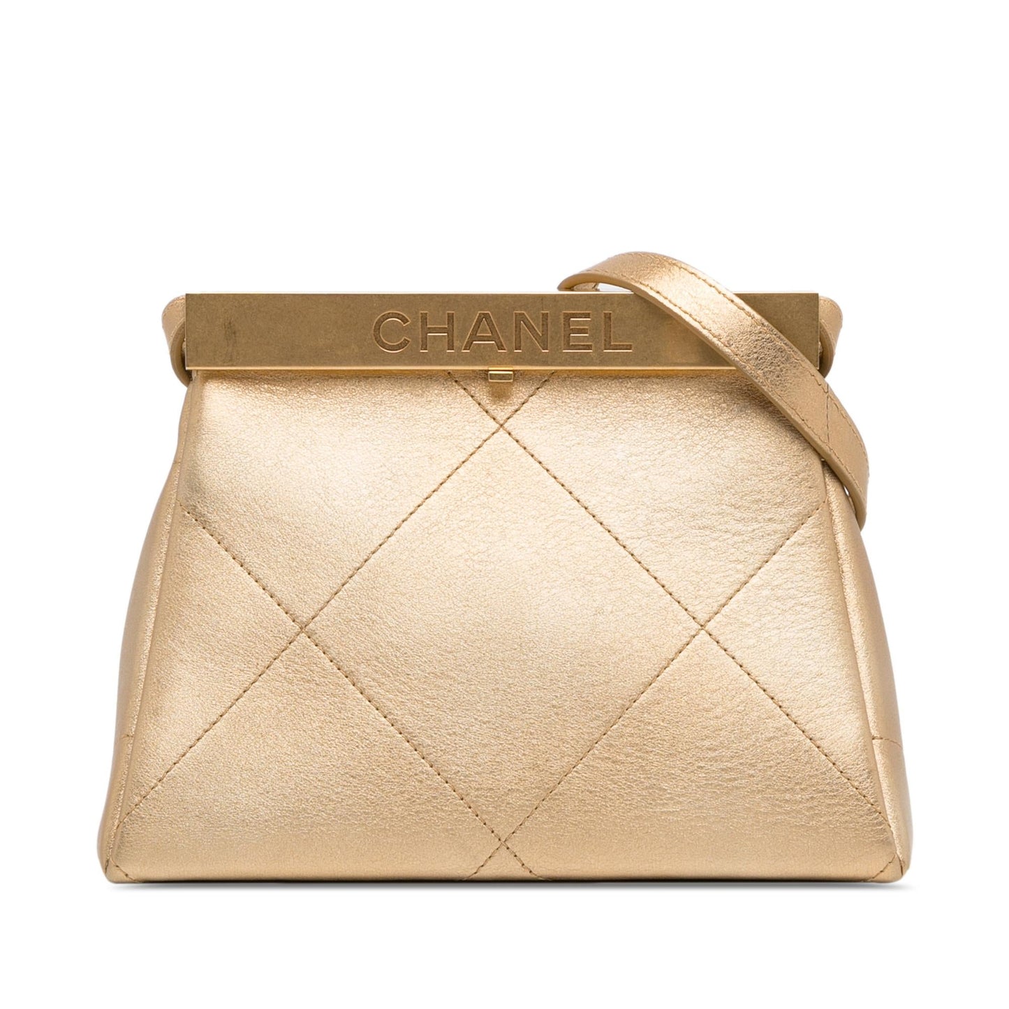 Chanel Calfskin Luxury Handbag Style 10