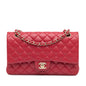 Chanel Gabrielle Lambskin Pink Shoulder Bag Style 5