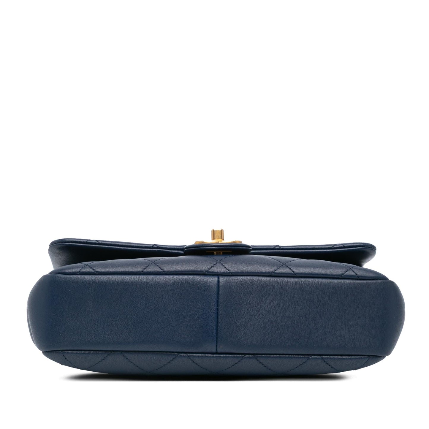 Chanel Medium Lambskin In The Loop Flap