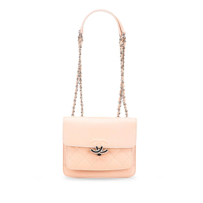 Chanel Mini Quilted Caviar Cc Box Flap