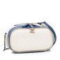 Chanel Luxury Handbag Style 29