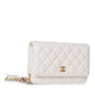 Chanel Fringed Wallet On Chain - Lambskin