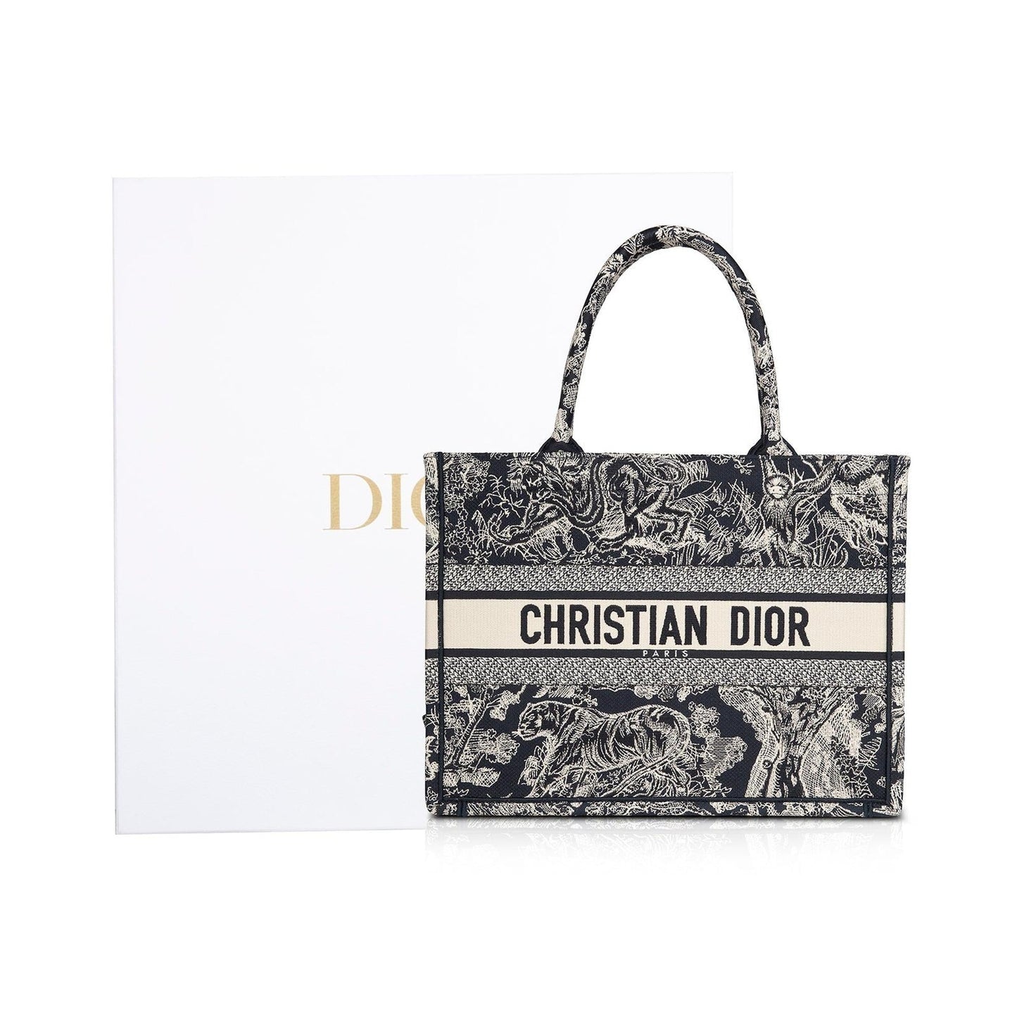 Christian Dior 2022 Medium Toile de Jouy Reverse Book Tote