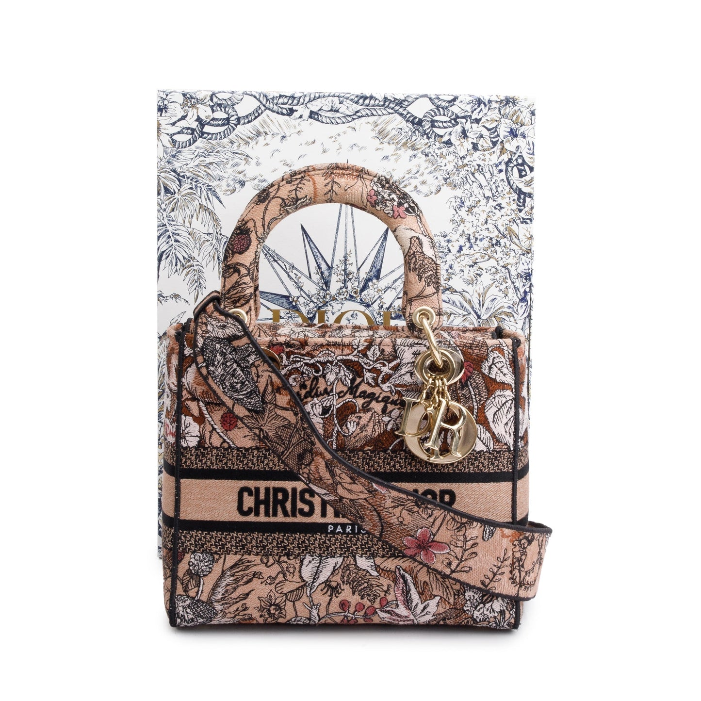 Christian Dior 2023 Jardin Magique Embroidery Medium Lady D-Lite Bag
