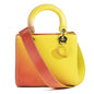 Christian Dior Medium Ombre Leather Lady Dior Bag