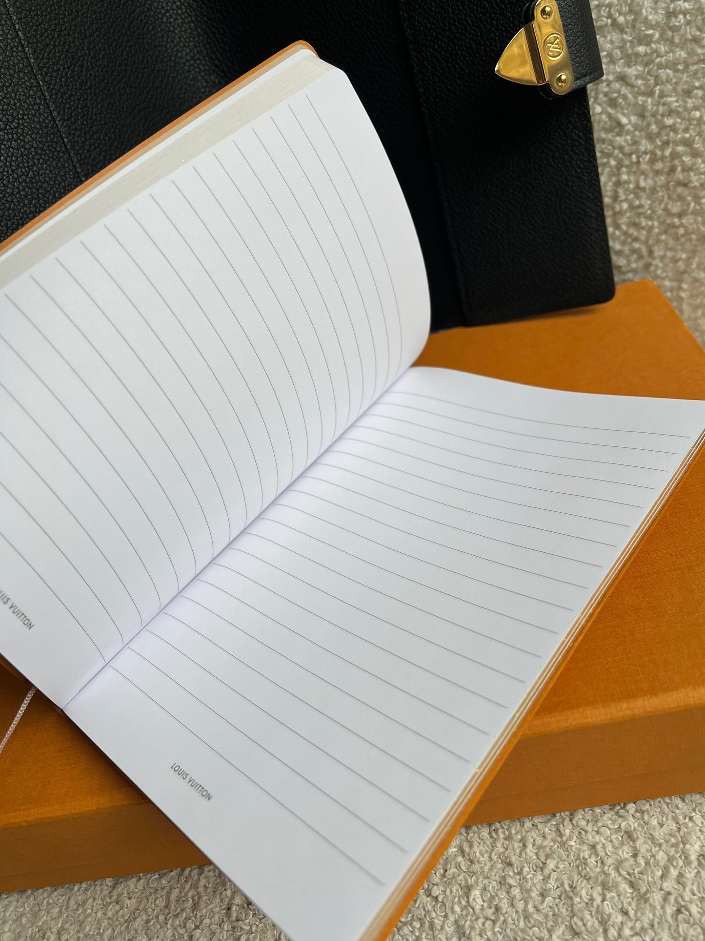 Louis Vuitton Notebook Cover Paul MM in Bicolour Giant Monogram