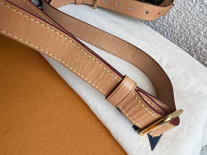Louis Vuitton Bumbag in Monogram Canvas