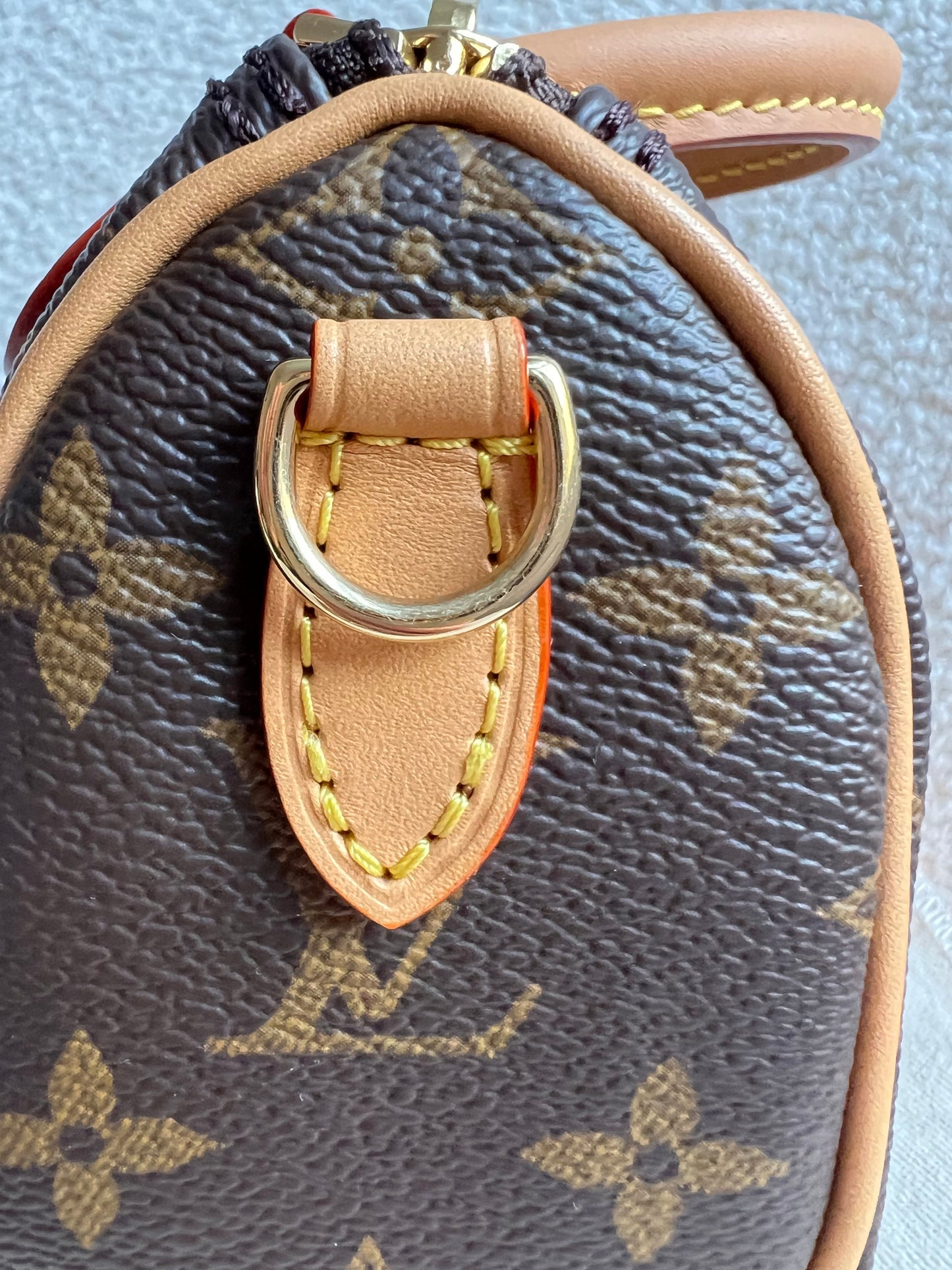 Louis Vuitton Speedy Nano Monogram (RRP £1420)