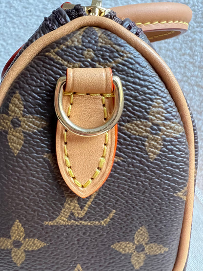 Louis Vuitton Speedy Nano Monogram (RRP £1420)