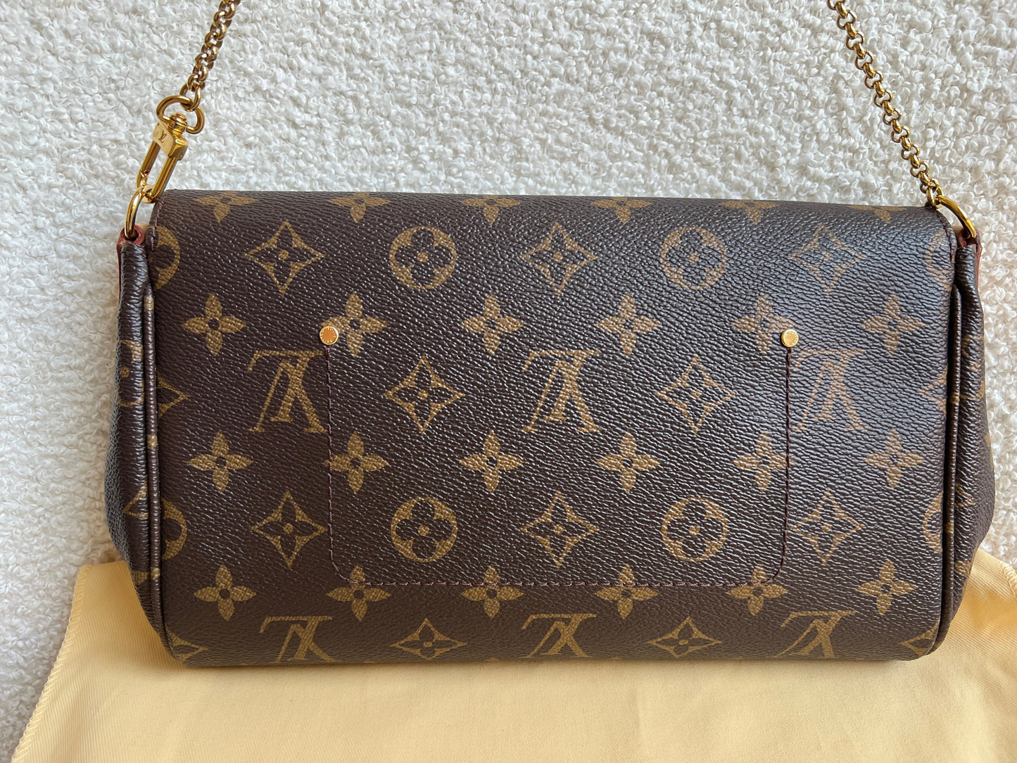 Louis Vuitton Favorite MM Monogram