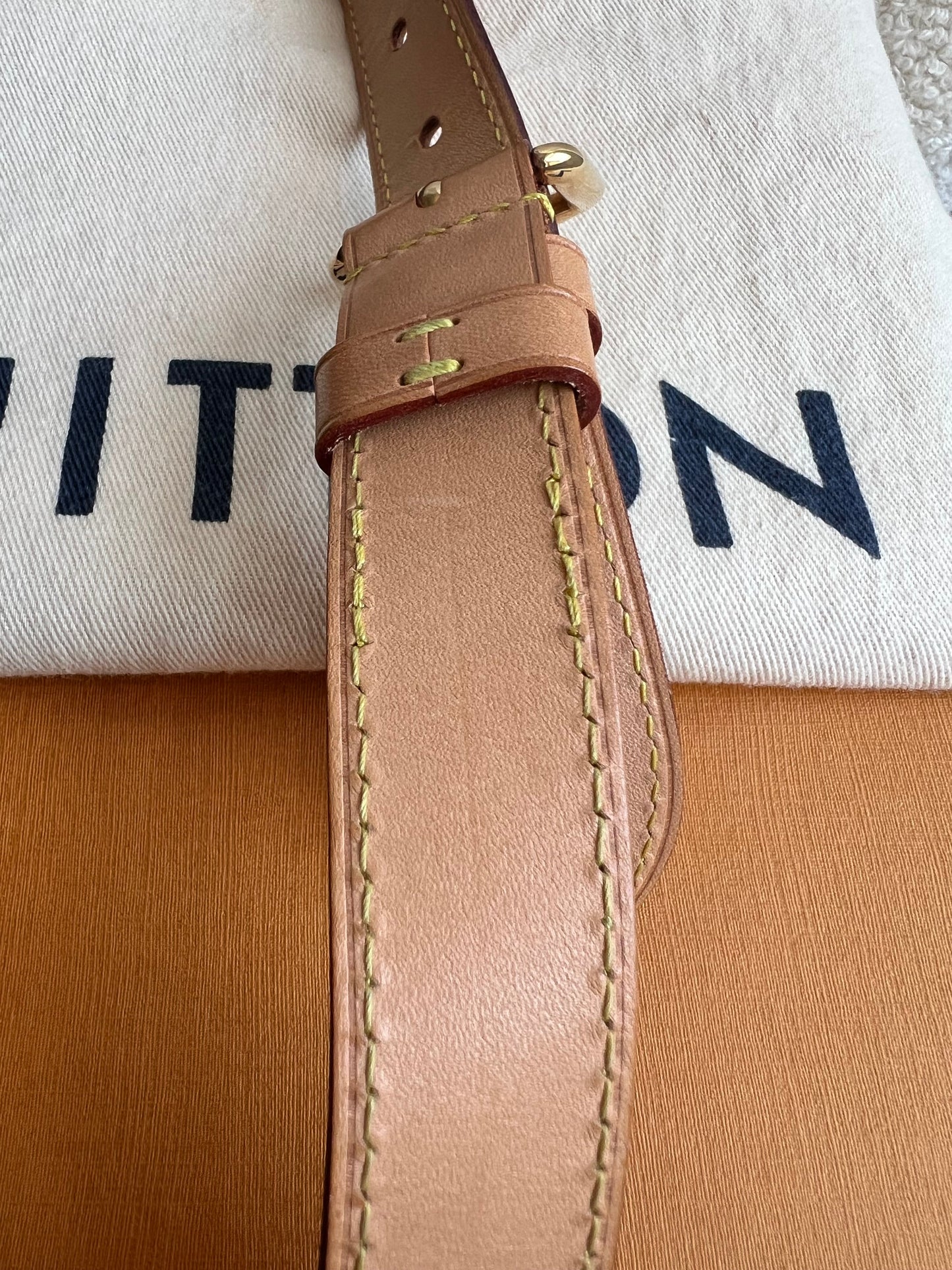 Louis Vuitton Bumbag in Monogram Canvas