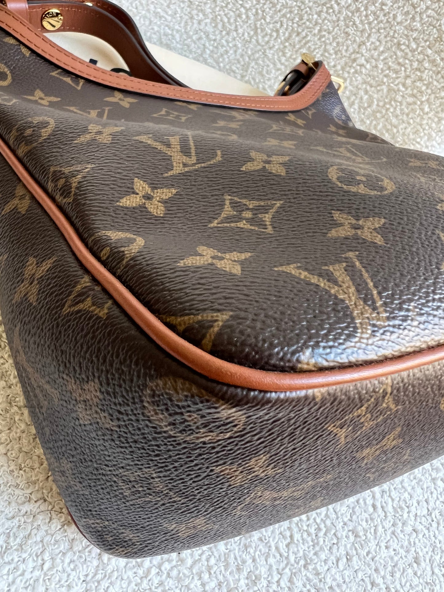 Louis Vuitton Dauphine Hobo PM (RRP £2190)