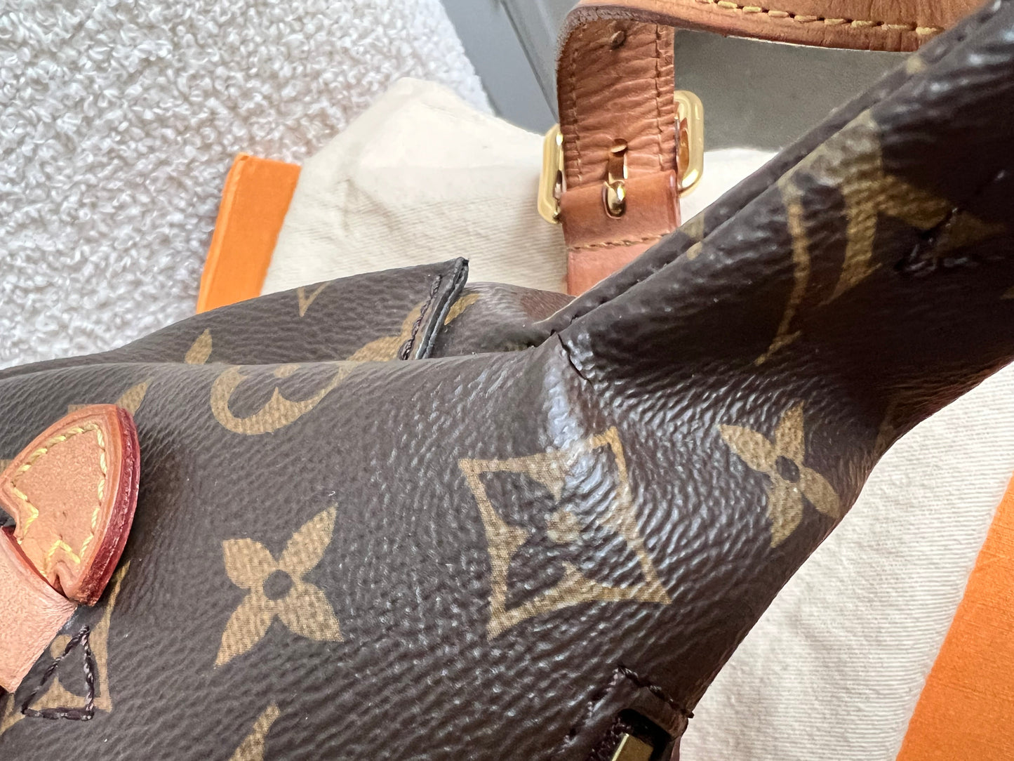 Louis Vuitton Bumbag in Monogram Canvas