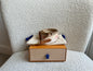 Louis Vuitton Canvas Bandouliere Strap