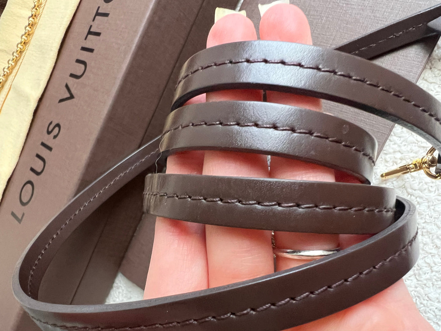 Louis Vuitton Favorite PM Damier Ebene