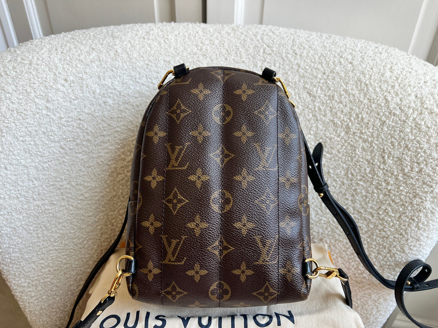 Louis Vuitton Palm Springs Mini Backpack (RRP £1,860)